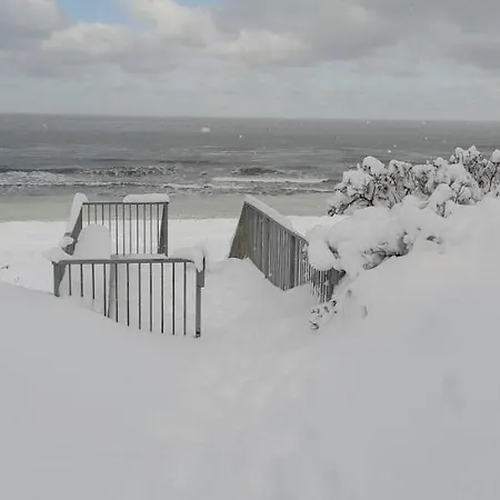 Marzen * Мжежино