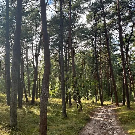 Marzen Мжежино